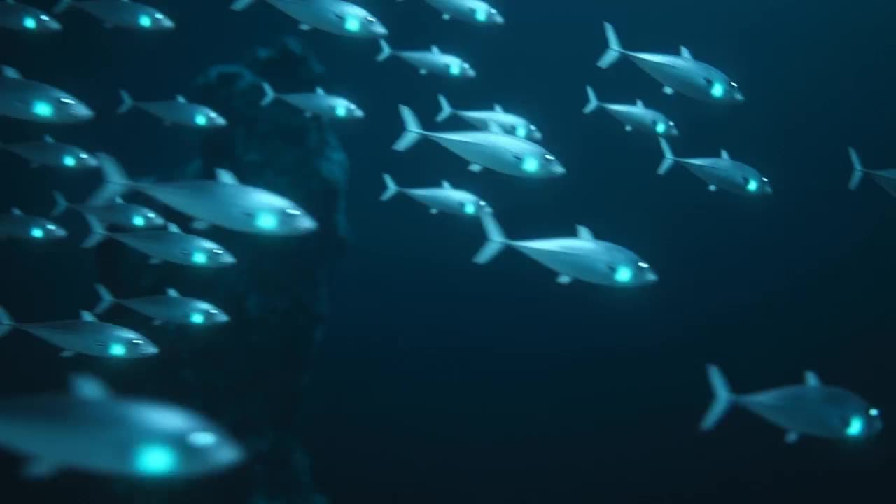 A school of small silver fish turns together through pitch-black water, trailing faint teal streaks